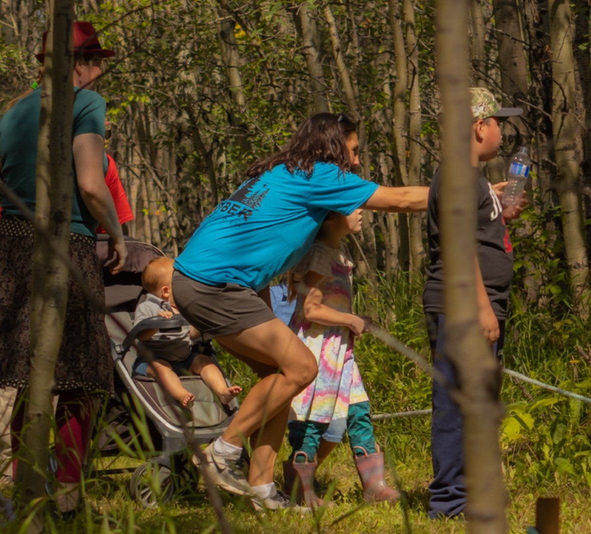 Children and families exploring among the trees in Timber Forest