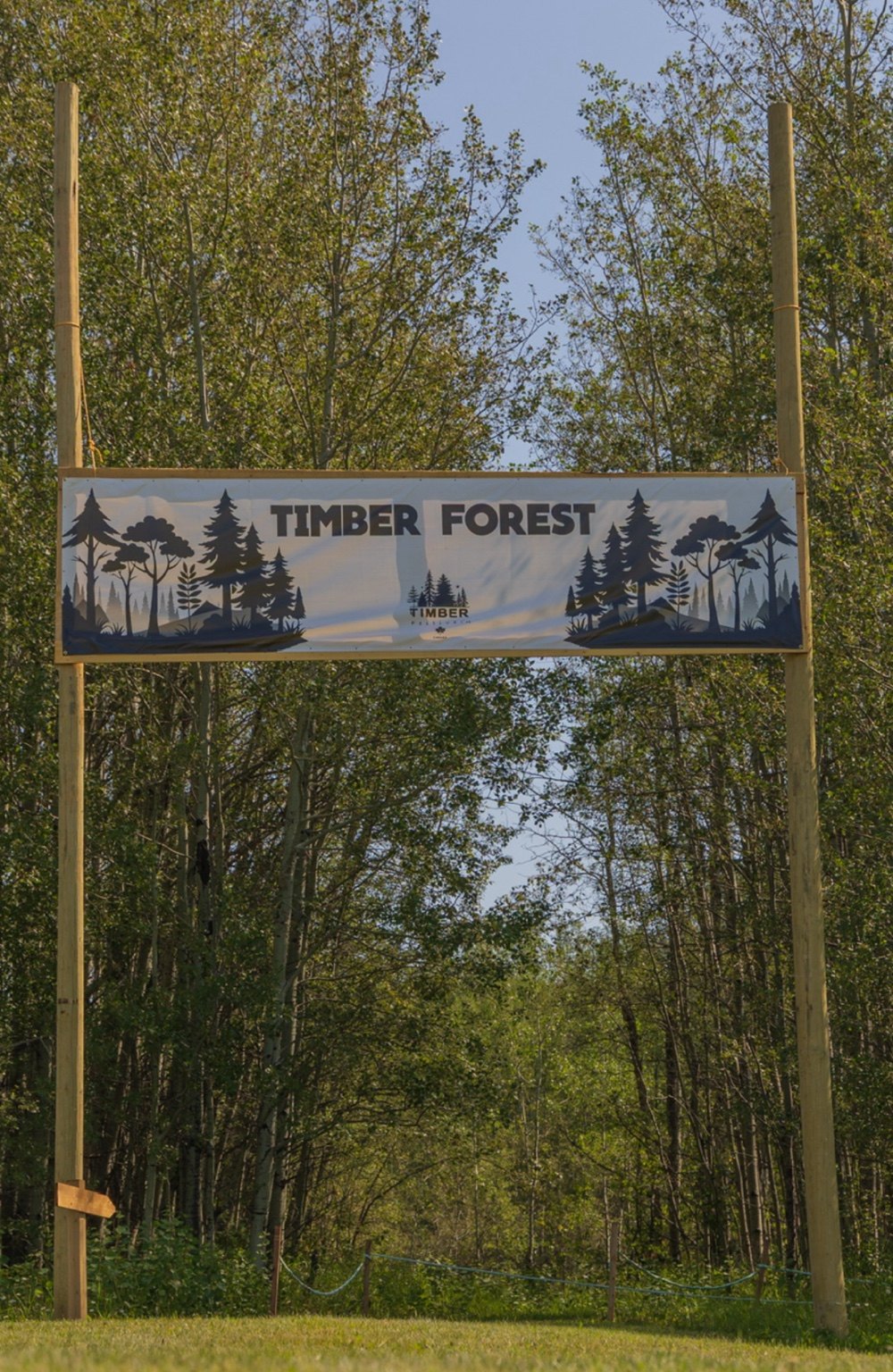Timber Forest entrance sign surrounded by trees